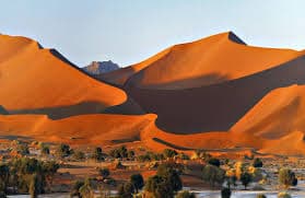 Safari de autoconducción por Namibia: aventura de desierto, costa y vida salvaje